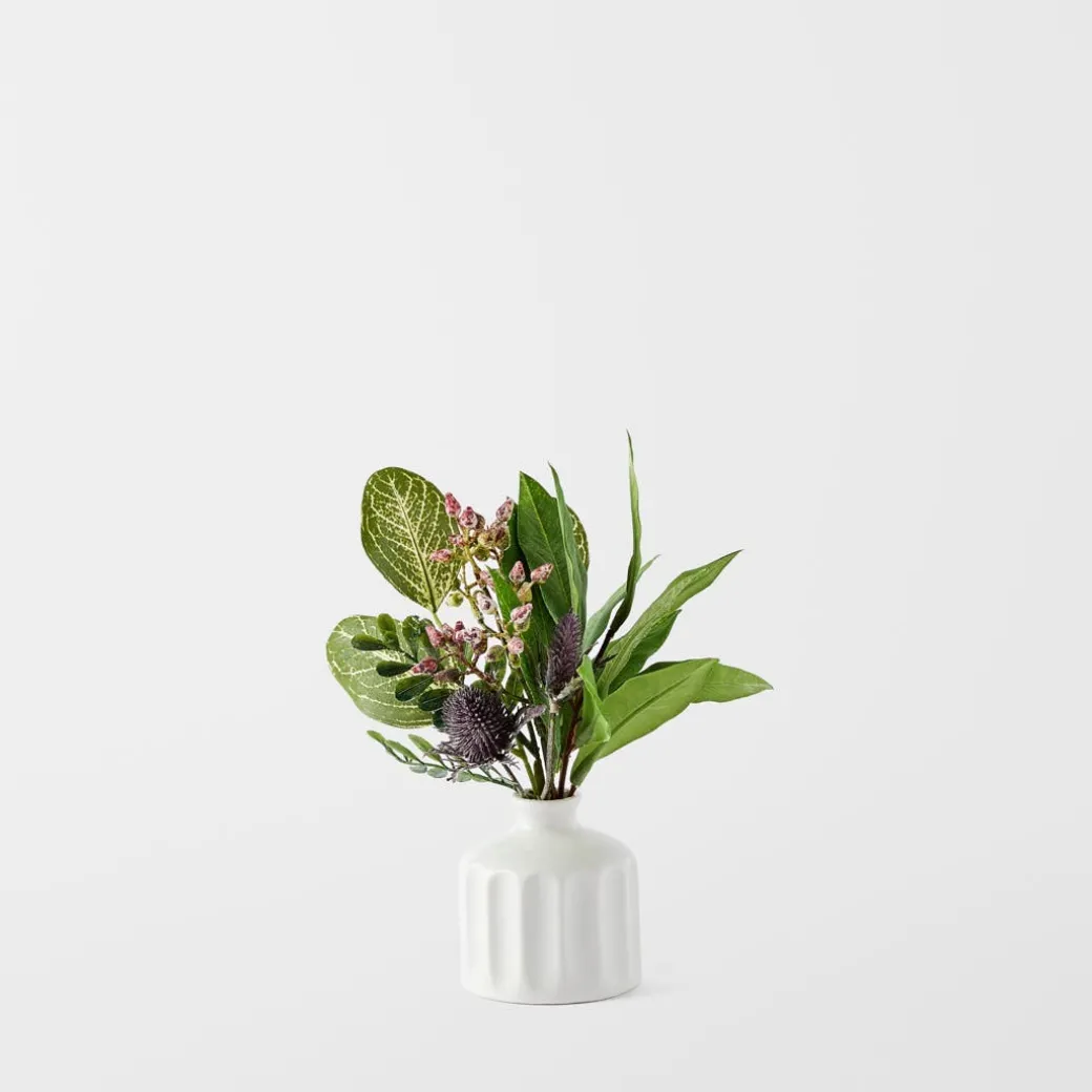 Cinnamon Leaf In Ceramic Vase