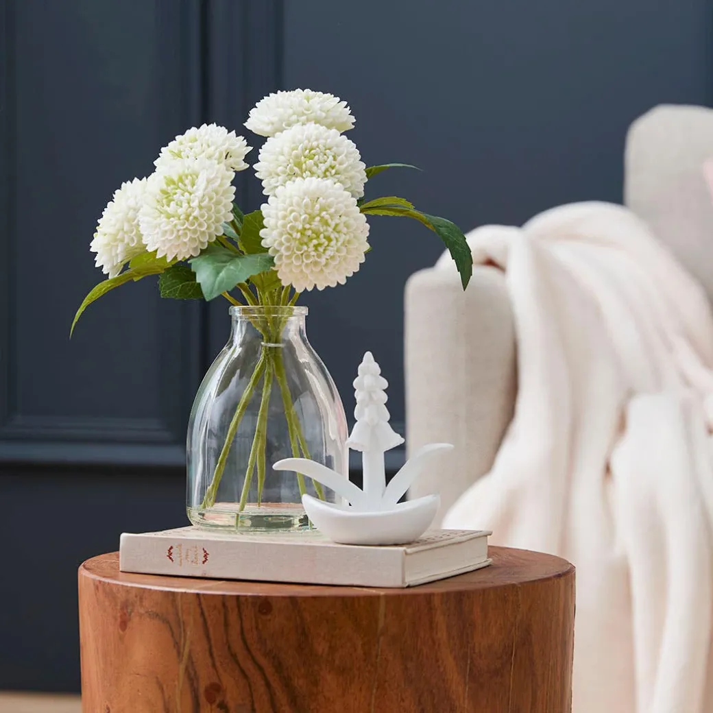 Dahlia in Glass Vase