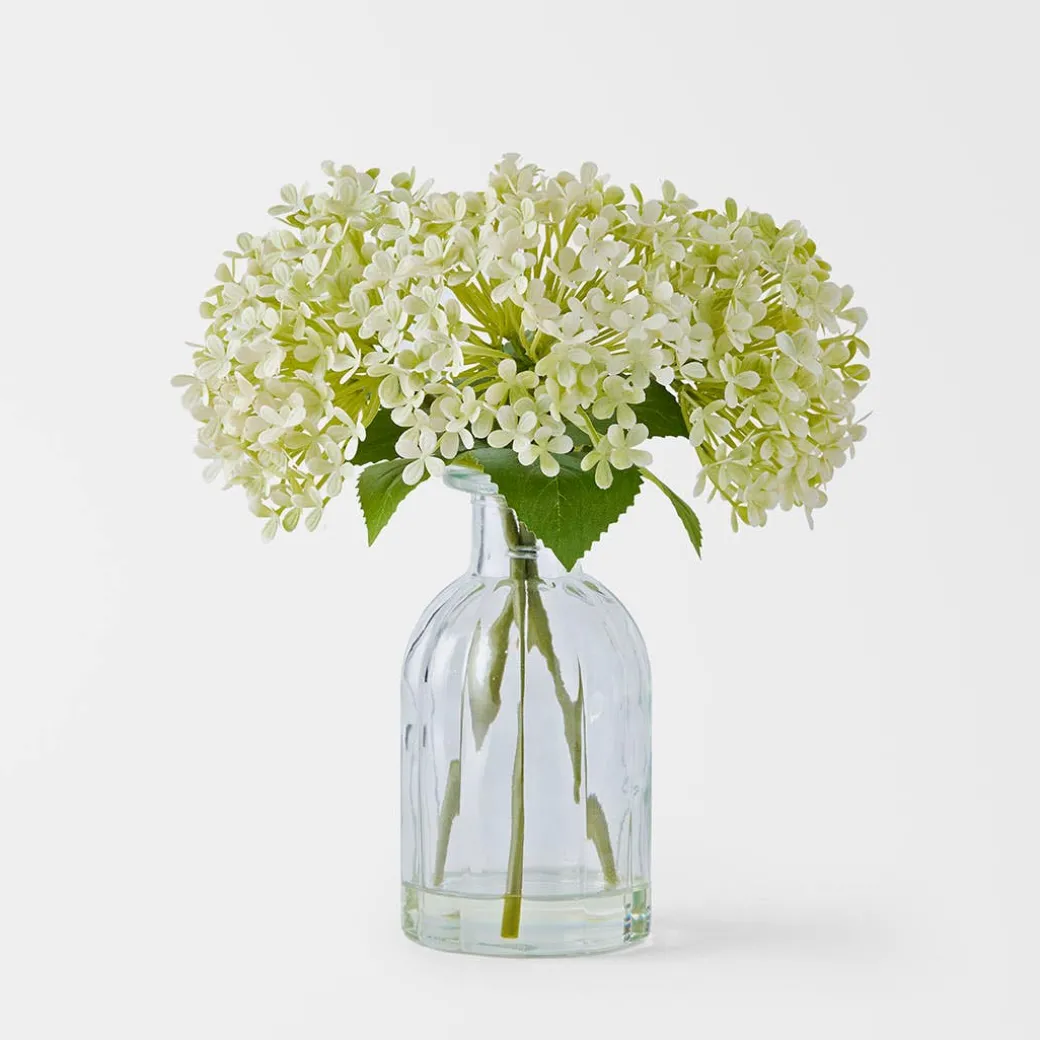 Hydrangea in Glass Vase