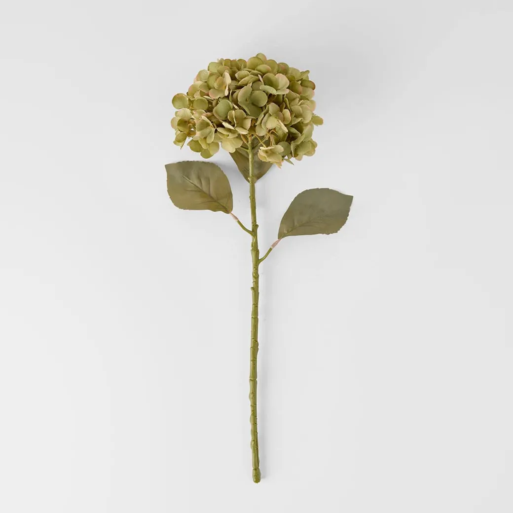 Hydrangea Stem Green