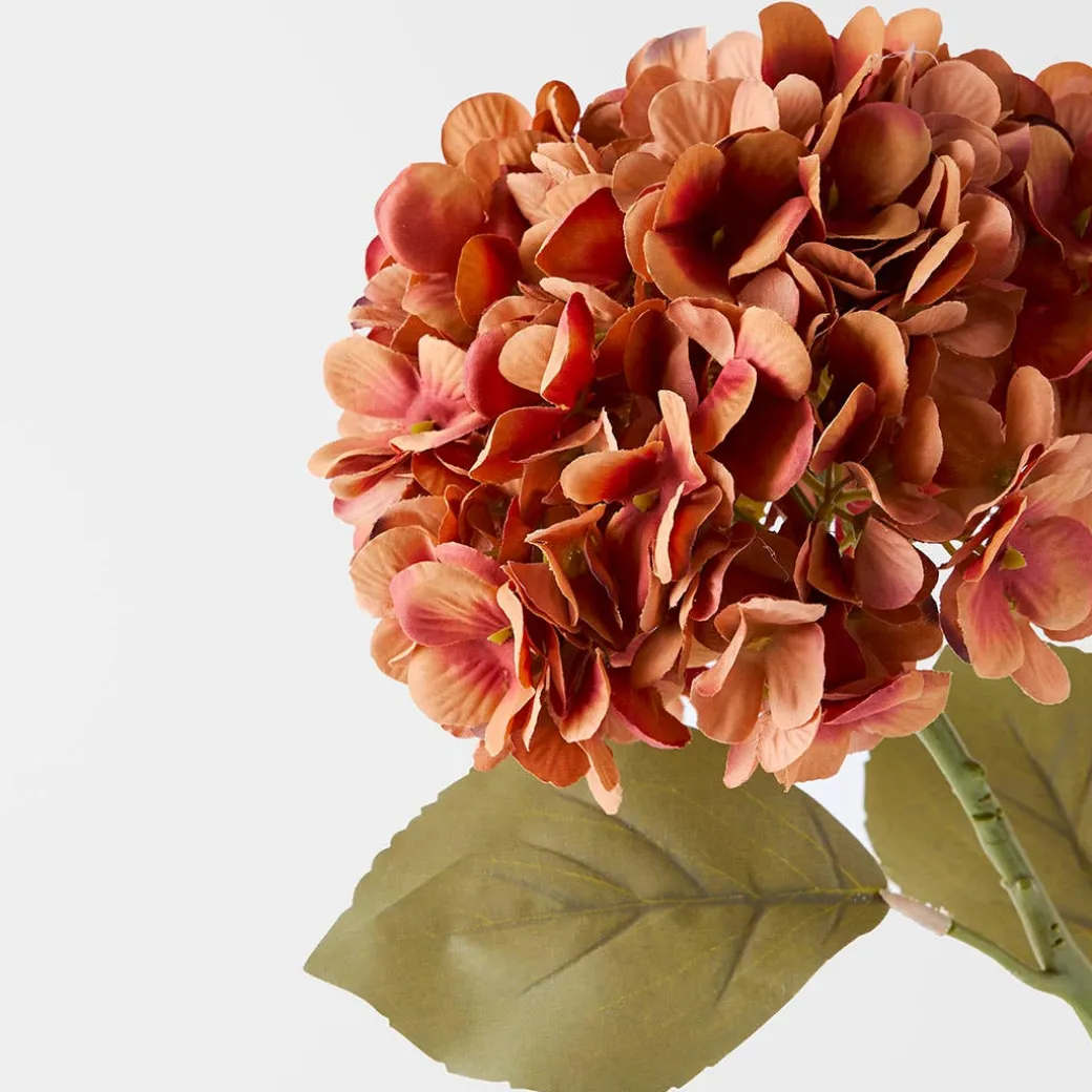Hydrangea Stem Pink