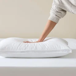 Luxury Goose Surround Pillow